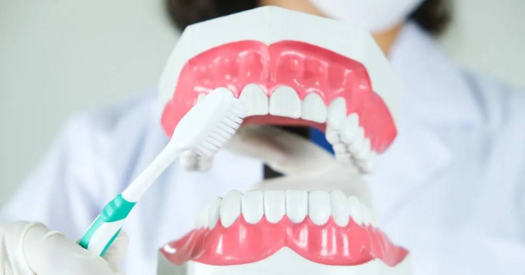 Dental Guide How to Care For Your Teeth Properly